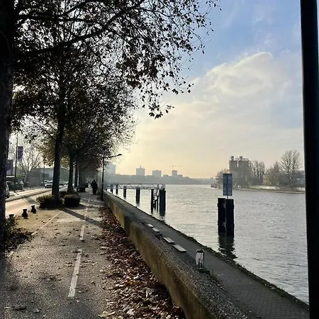 Carnot Apartment Alfortville